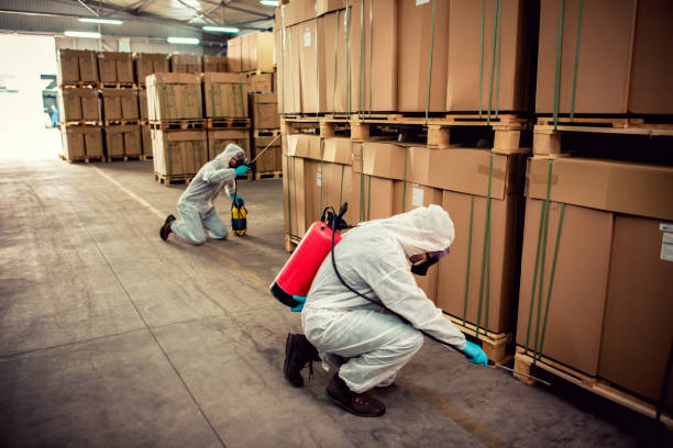 Best Exterminator Services  in Ingram, PA
