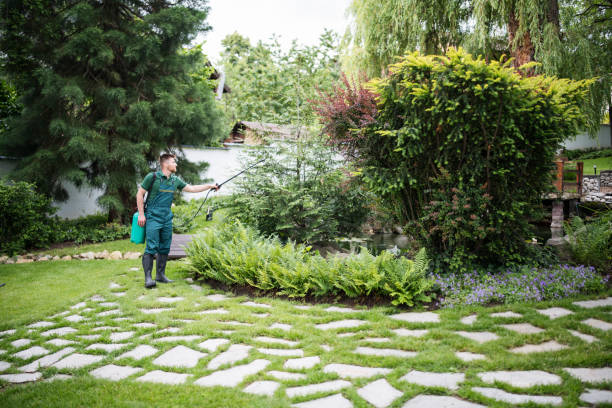 Best Commercial Pest Control Services  in Ingram, PA