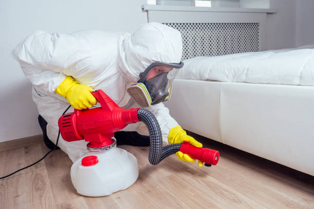 Best Flea Control Services  in Ingram, PA